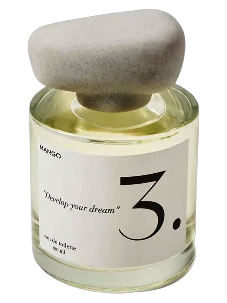 Mango 3. Develop Your Dream