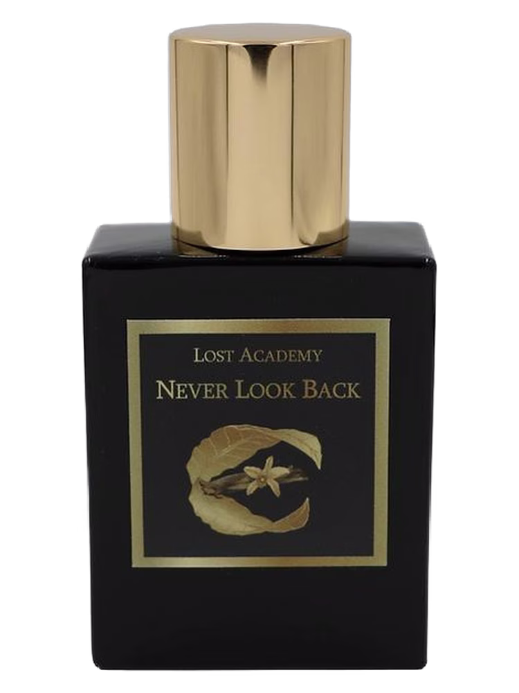 Lost Academy Never Look Back