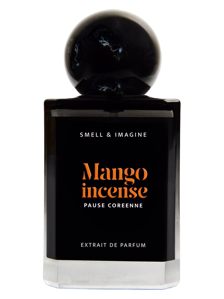 Pause Coréenne Mango Incense
