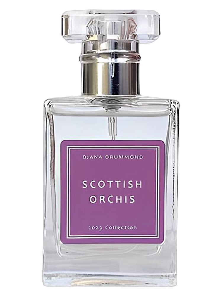 Diana Drummond Scottish Orchis