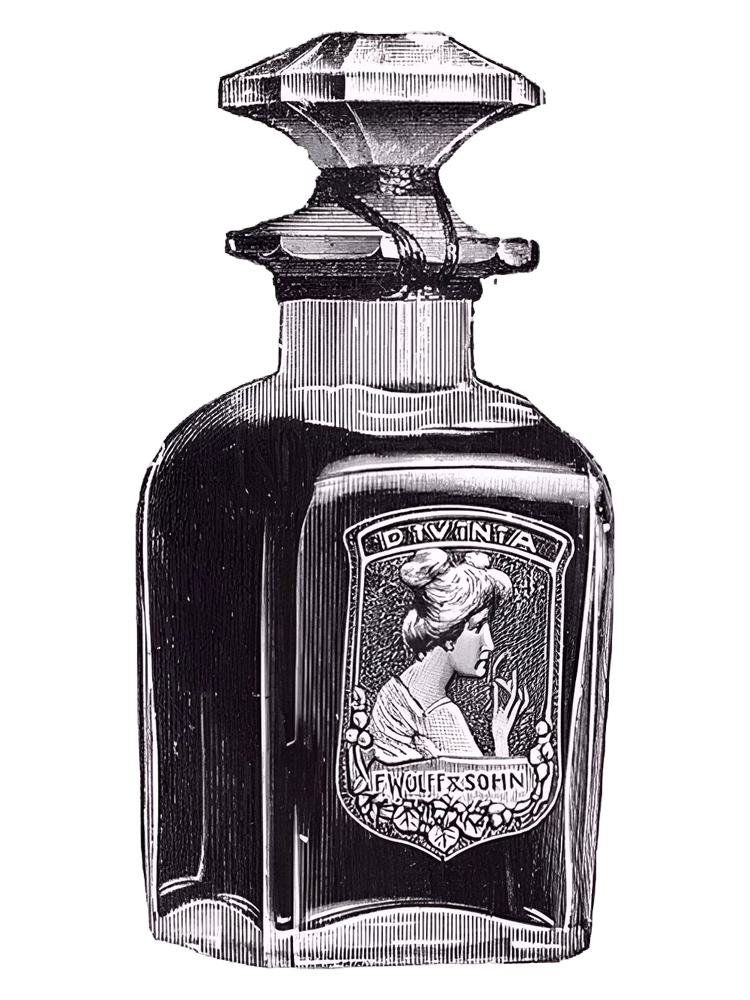 F. Wolff & Sohn Divinia