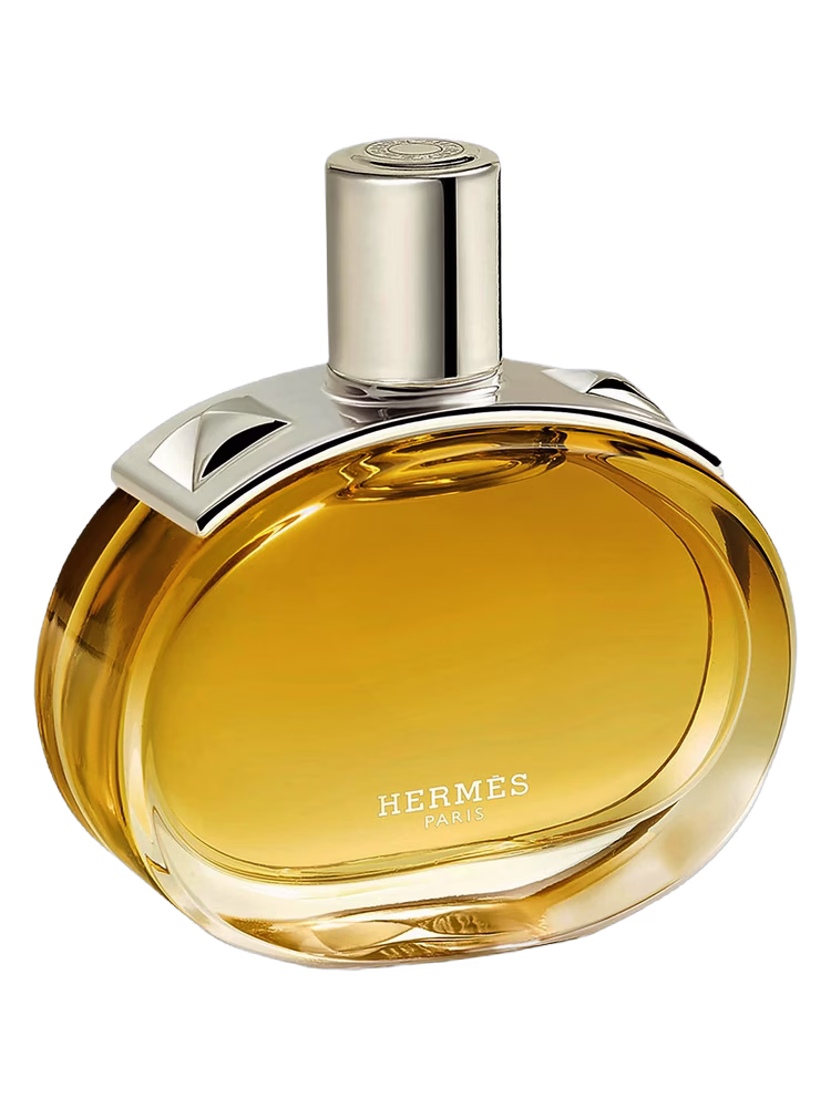 Hermès Barénia Intense