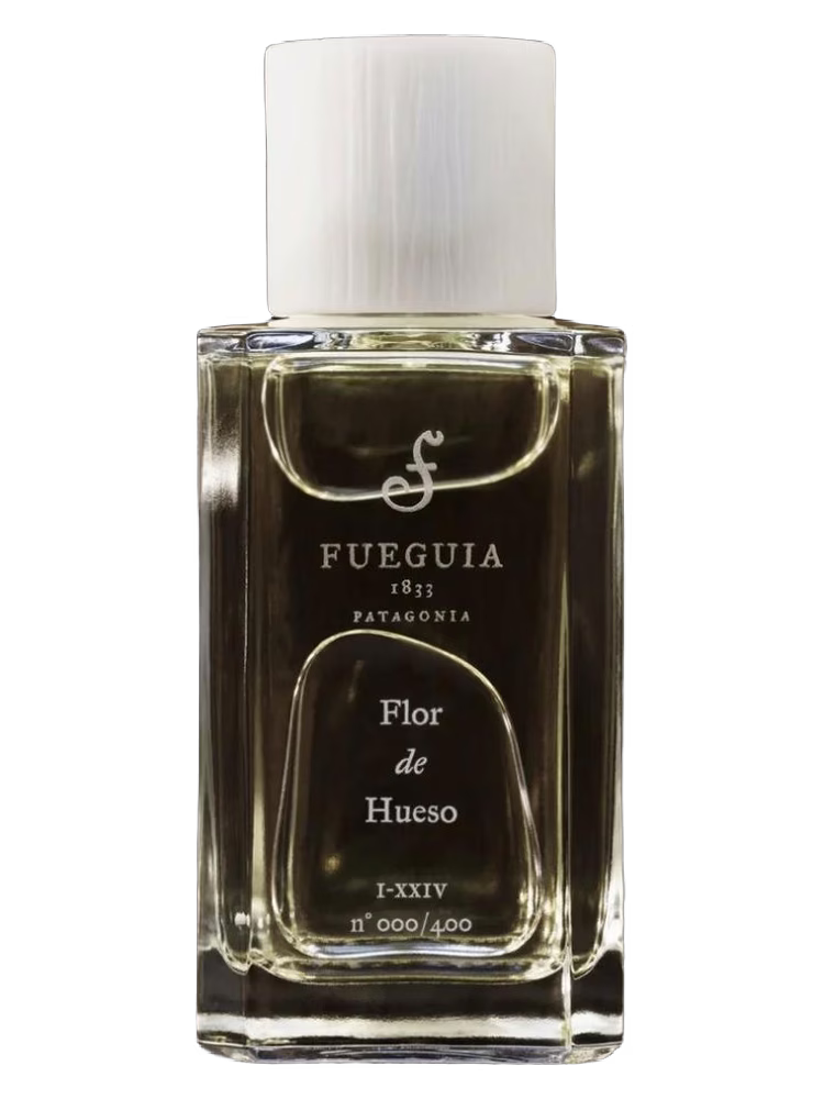Fueguia 1833 Flor de Hueso
