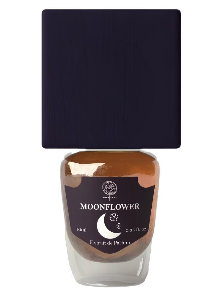 Noctifera MoonFlower