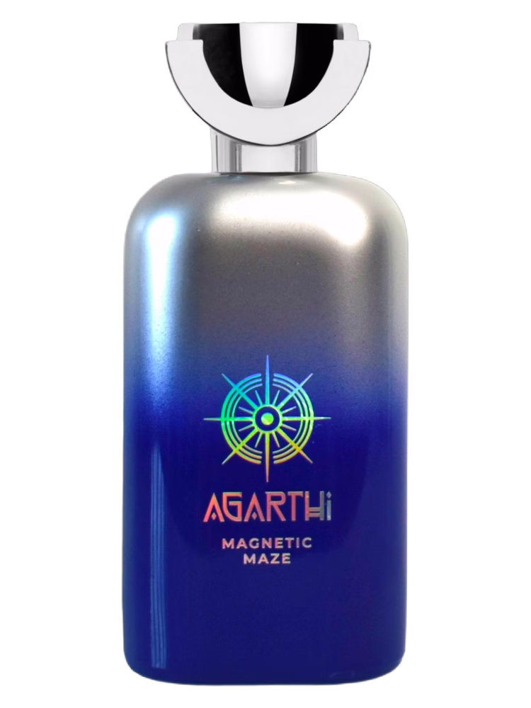 Agarthi Magnetic Maze
