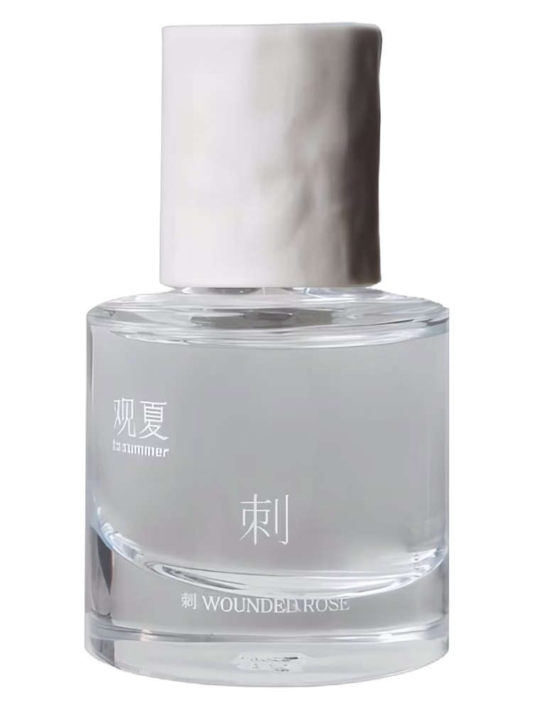 To Summer | 观夏 Wounded Rose 刺