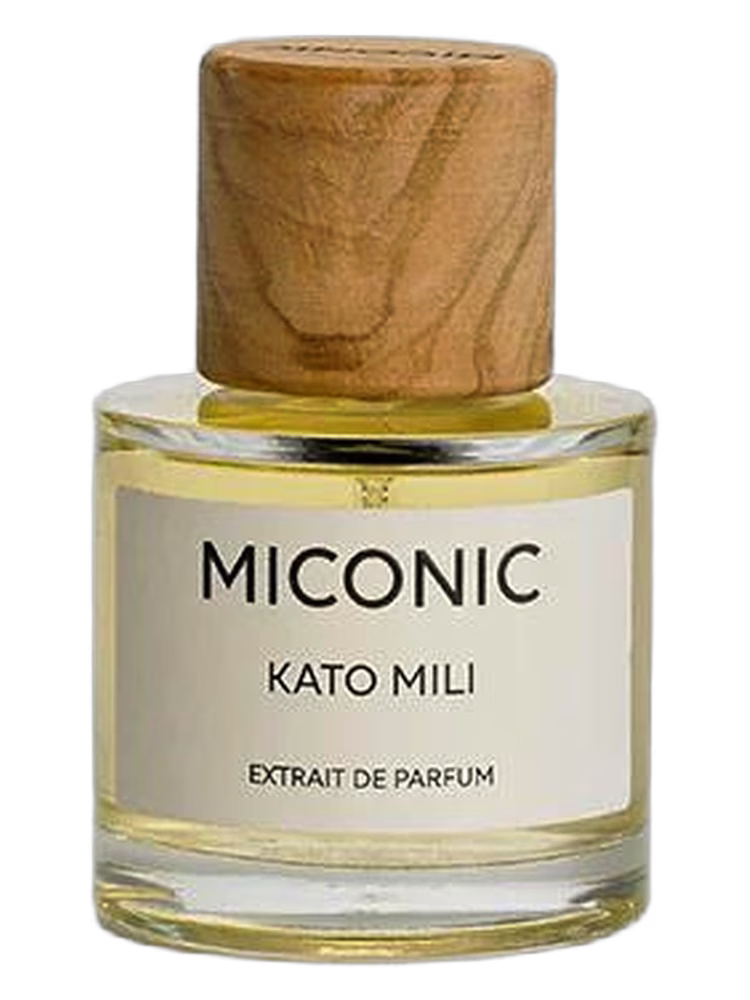 Miconic Kato Mili