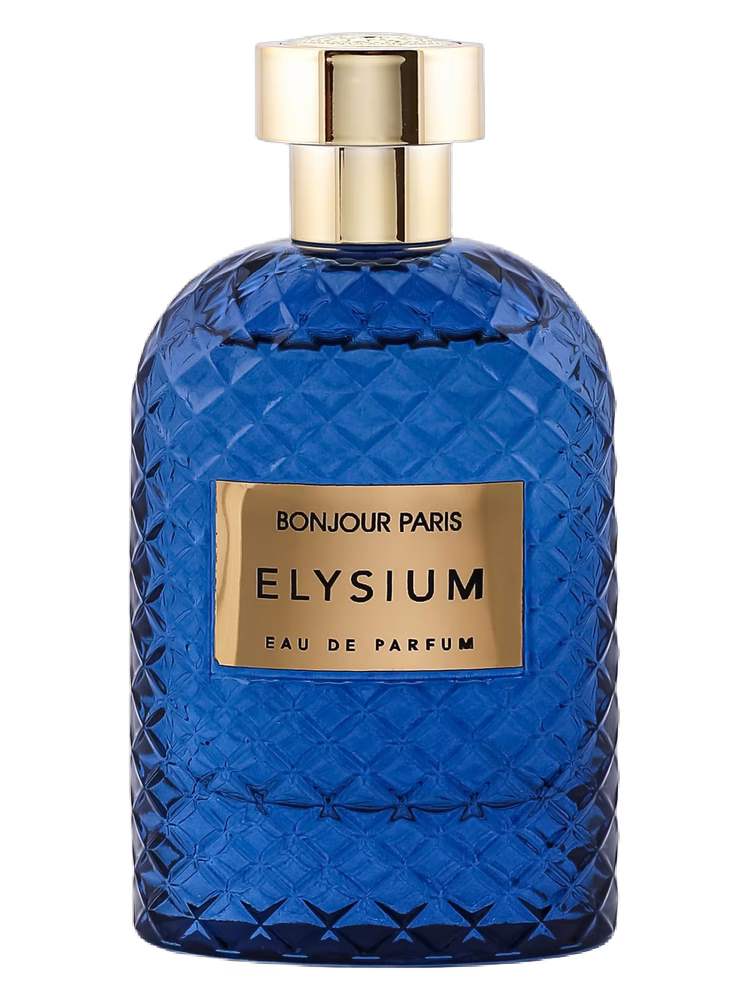 Bonjour Paris Elysium