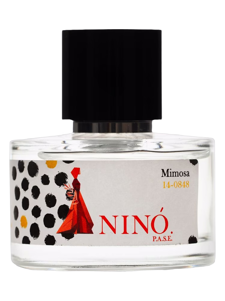 NINO Mimosa