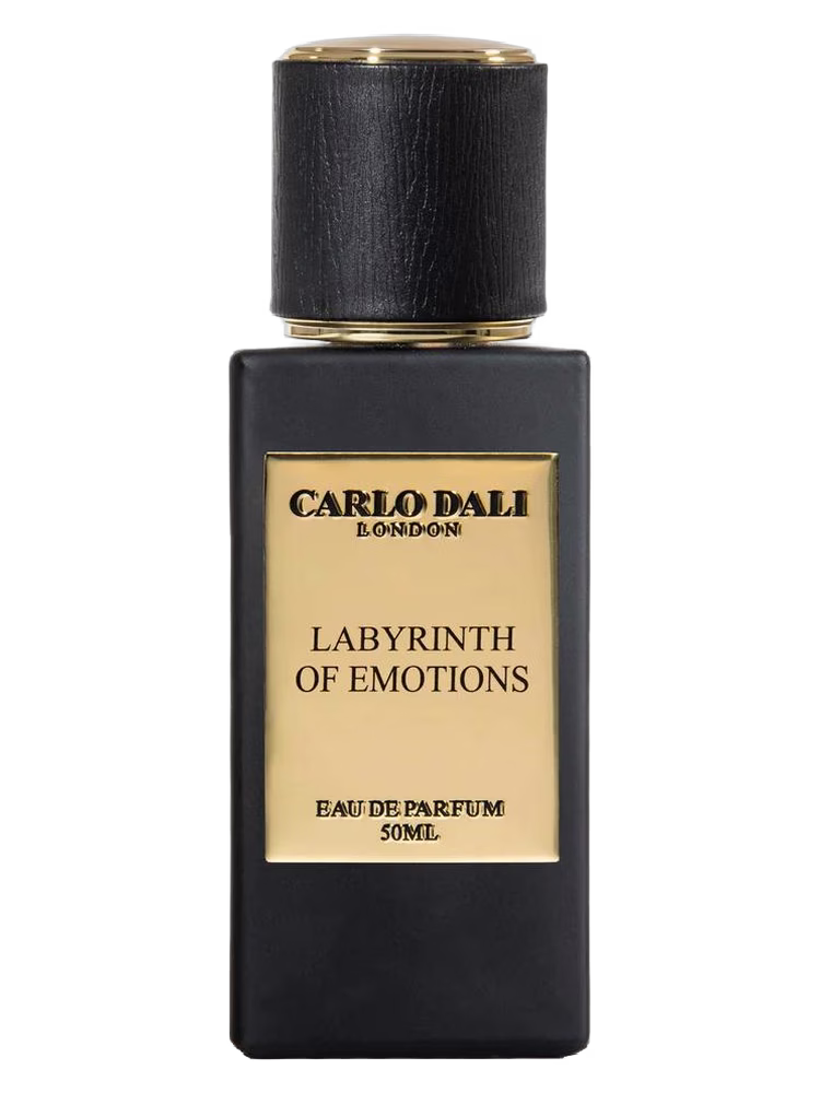 Carlo Dali Labyrinth of Emotions
