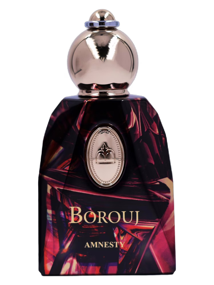 Borouj Amnesty