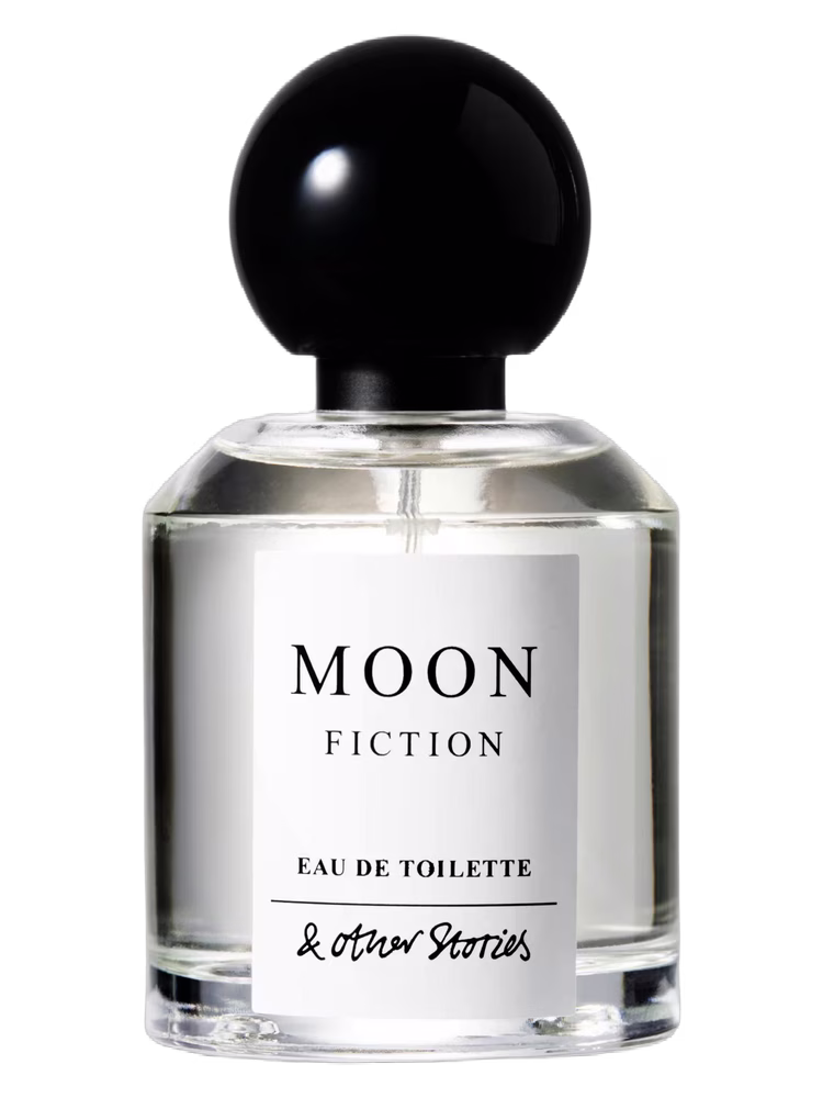 And Other Stories Moon Fiction