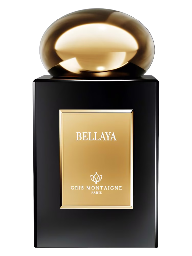 Gris Montaigne Paris Bellaya