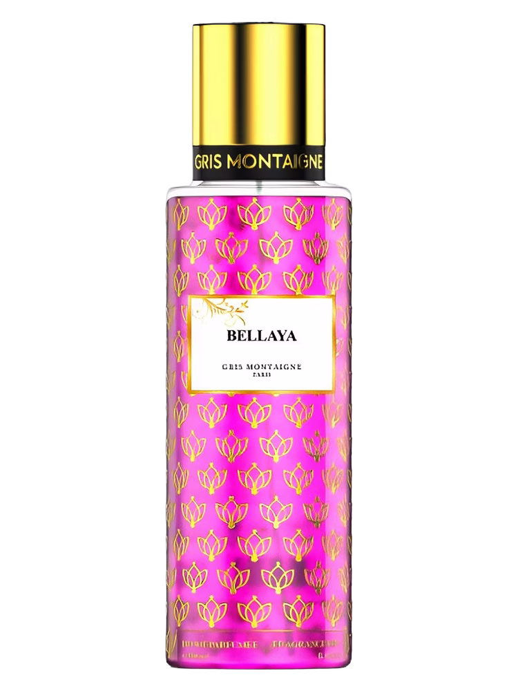 Gris Montaigne Paris Bellaya