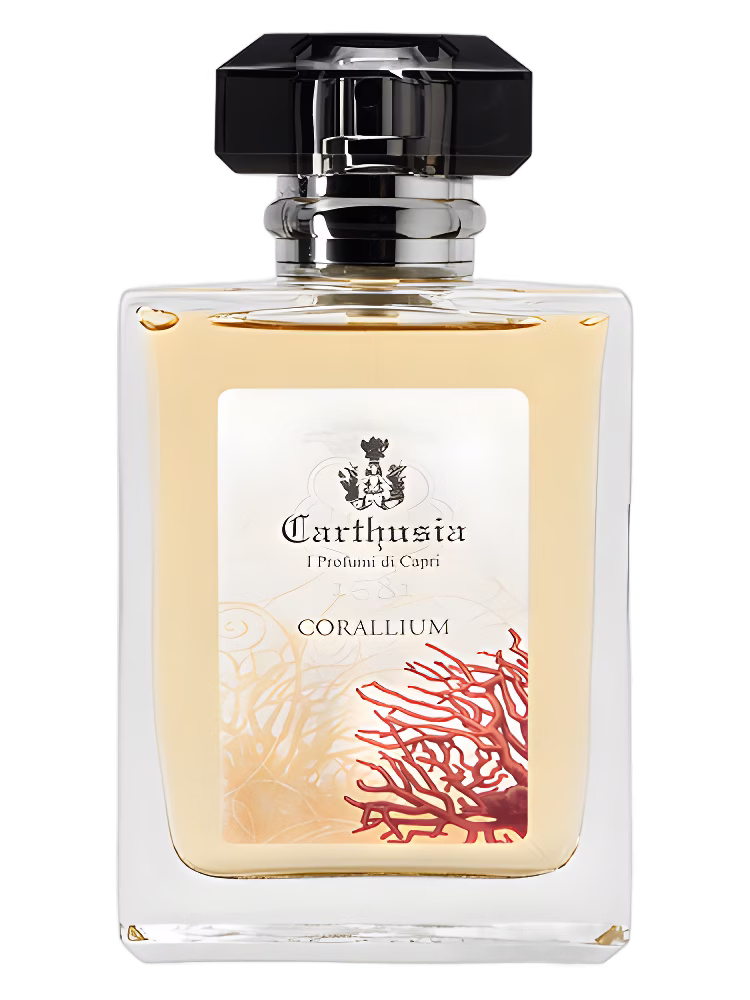 Carthusia Corallium