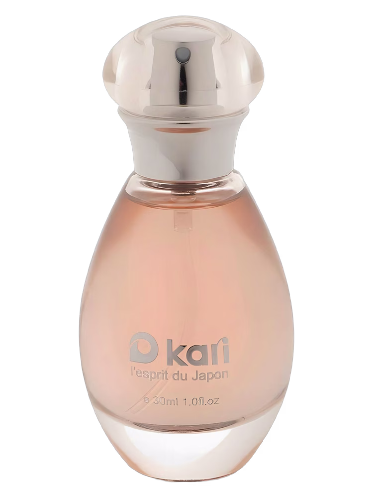 kari L'esprit du Japon
