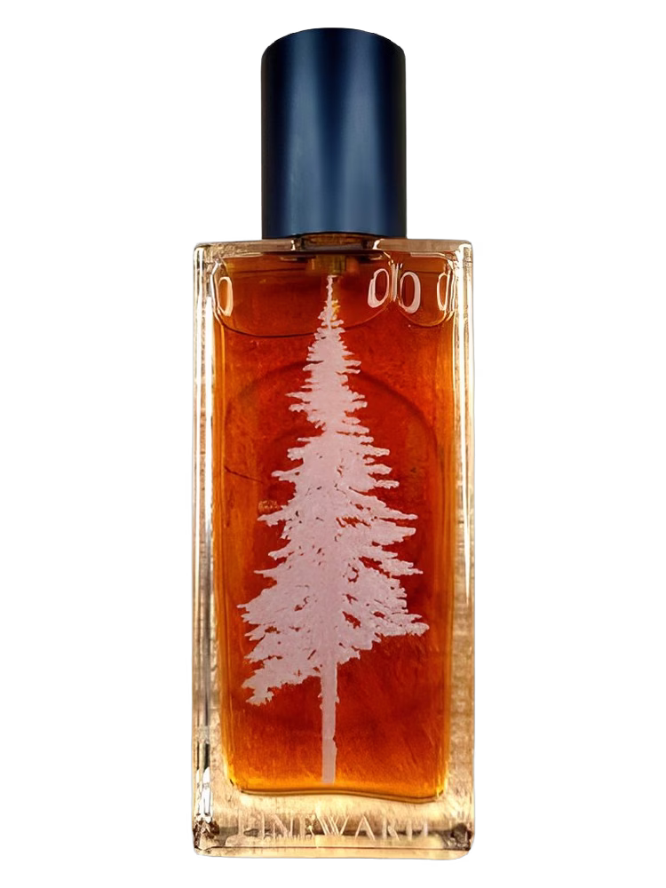 Pineward Perfumes Tome