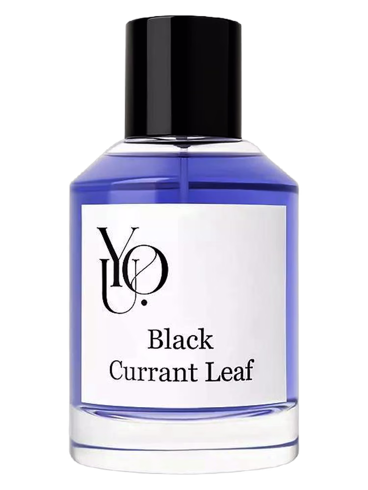 YOU Black Currant Leaf