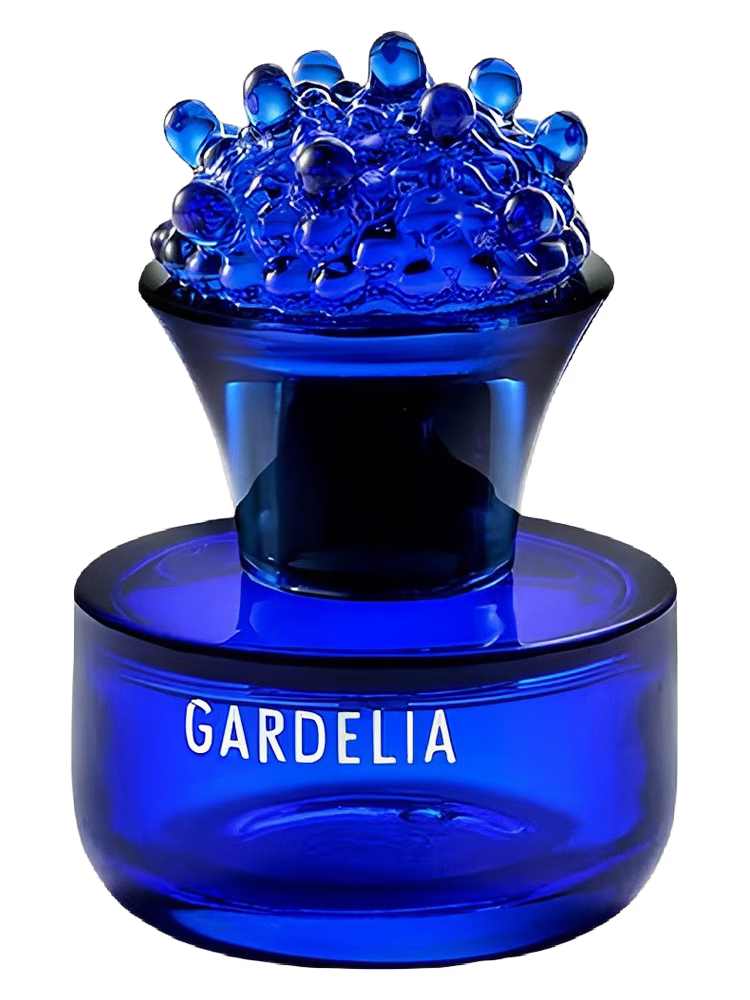 Bogue Gardelia 2025
