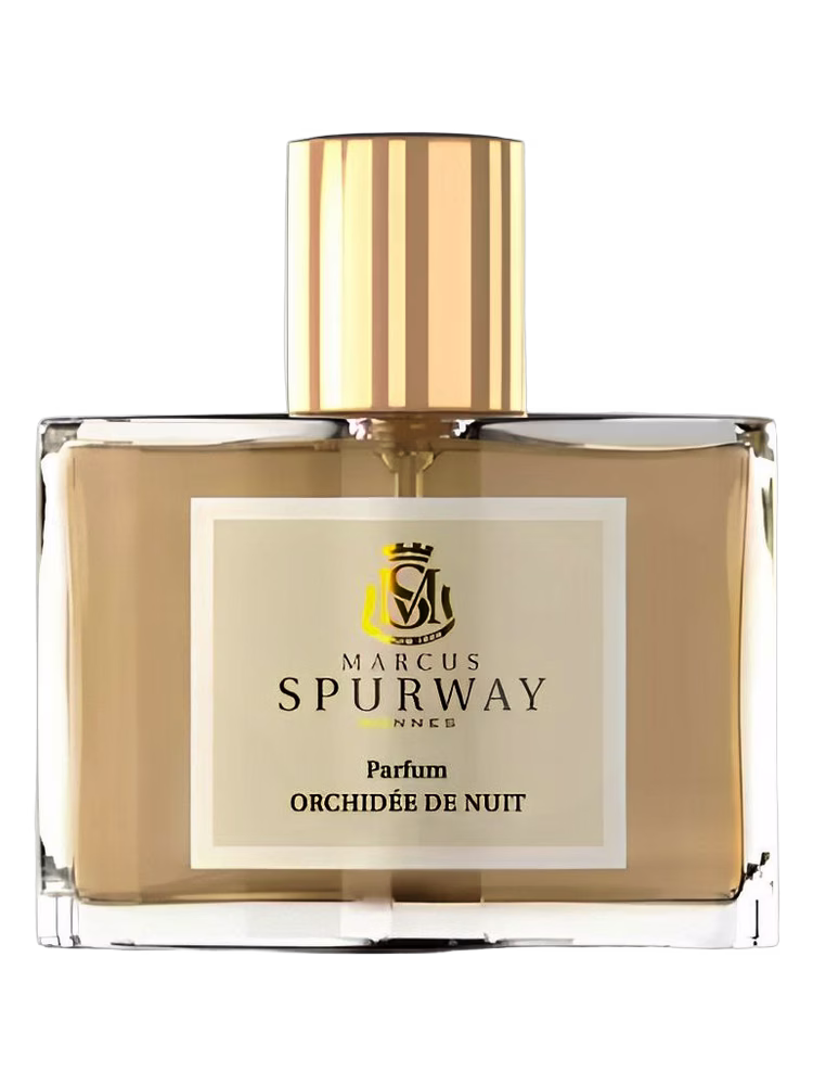 Marcus Spurway Orchidée de Nuit