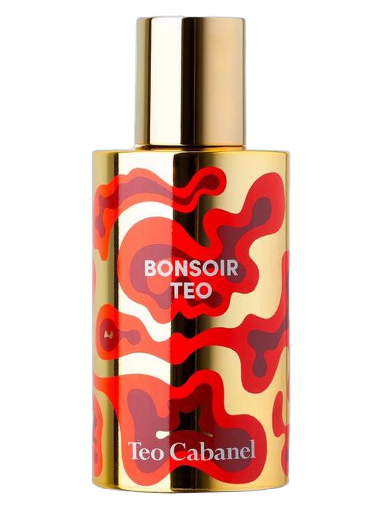 Teo Cabanel Bonsoir Teo