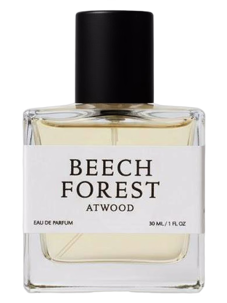Atwood Beech Forest