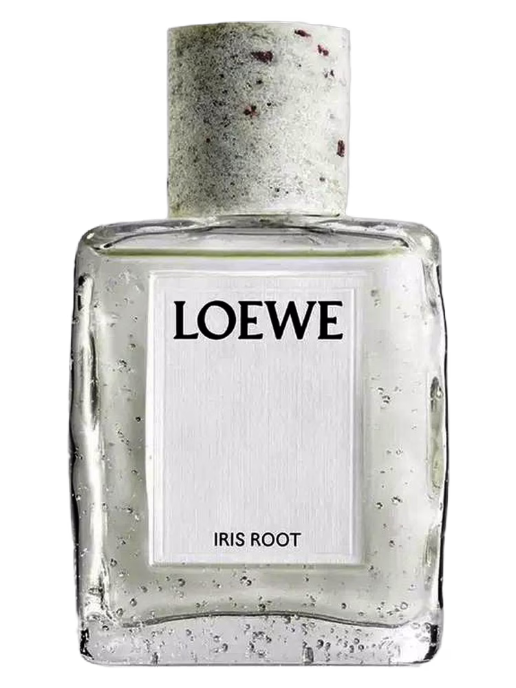 Loewe Iris Root