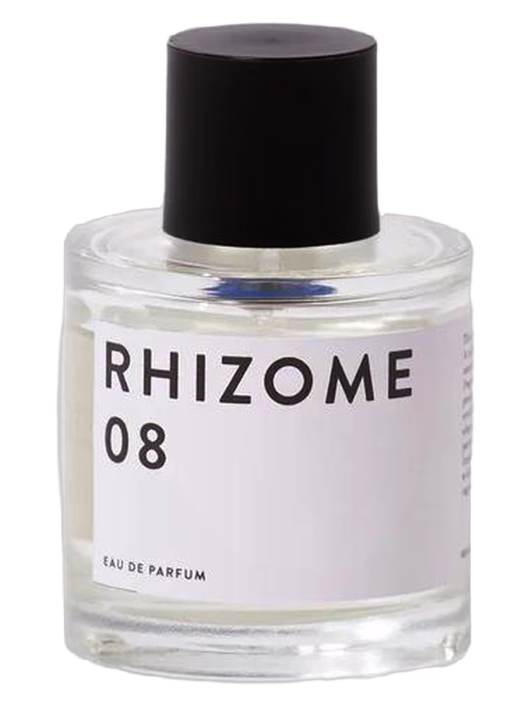 Rhizome Rhizome 08