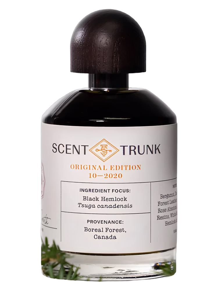 Scent Trunk Black Hemlock