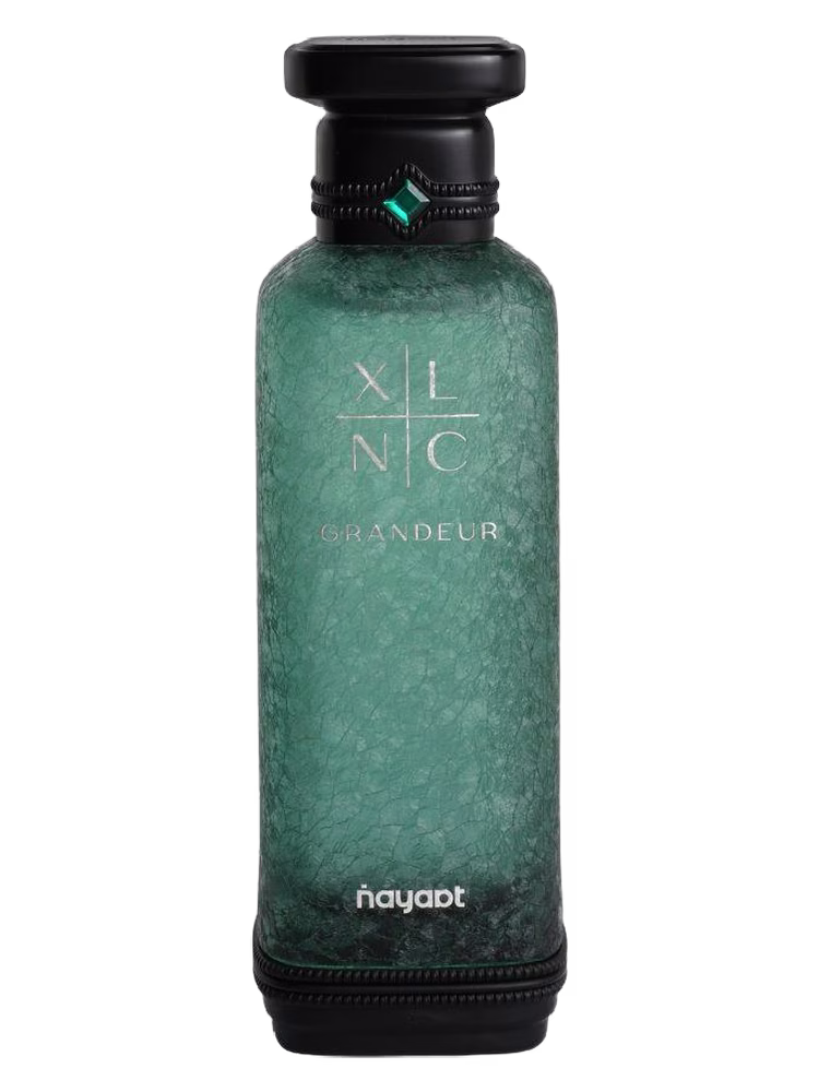 Nayaat XLNC Grandeur