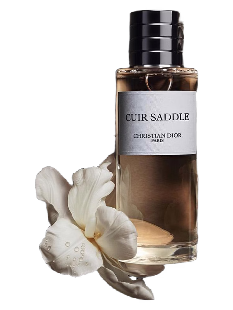 Dior Cuir Saddle