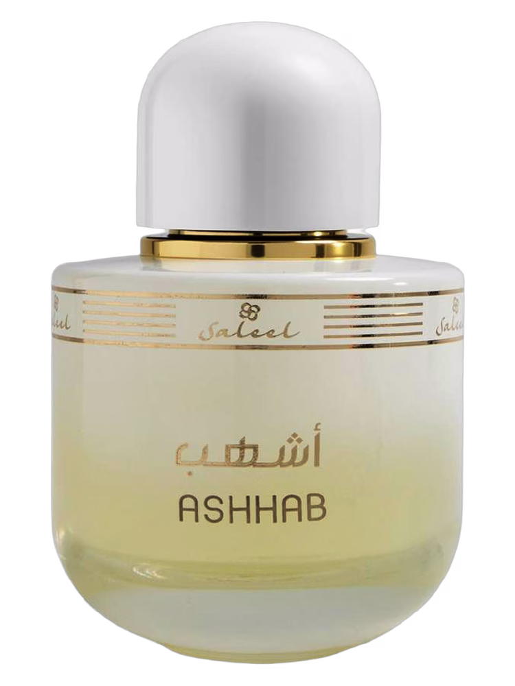 Saleel Ashhab