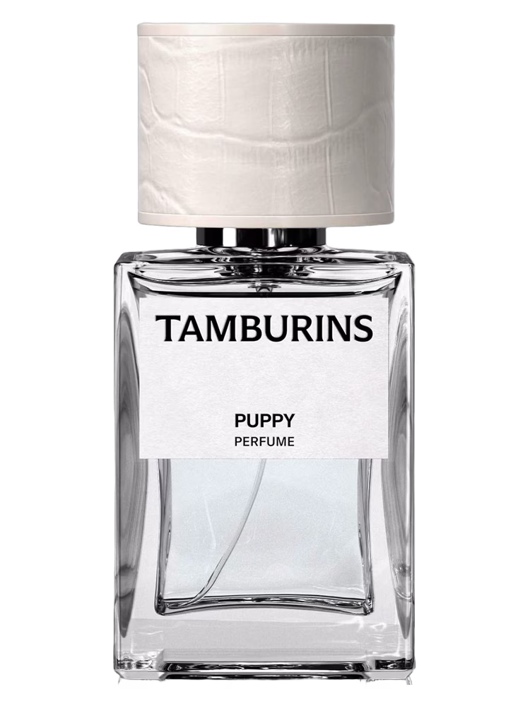 Tamburins Puppy