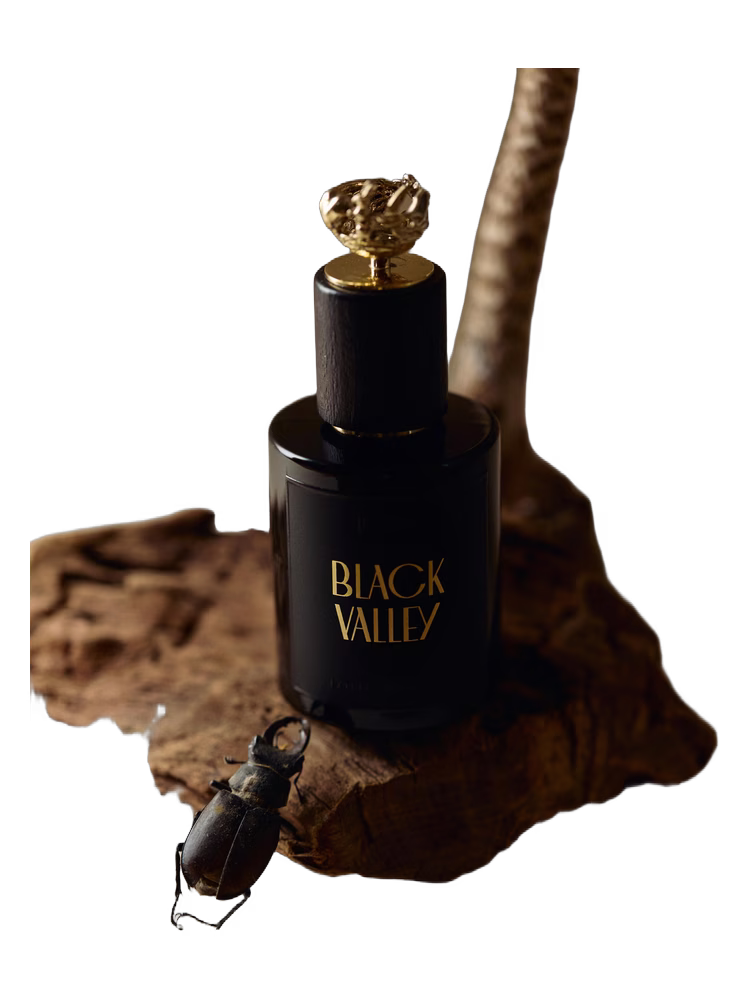 Utopic Black Valley
