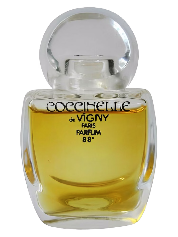 Vigny Coccinelle