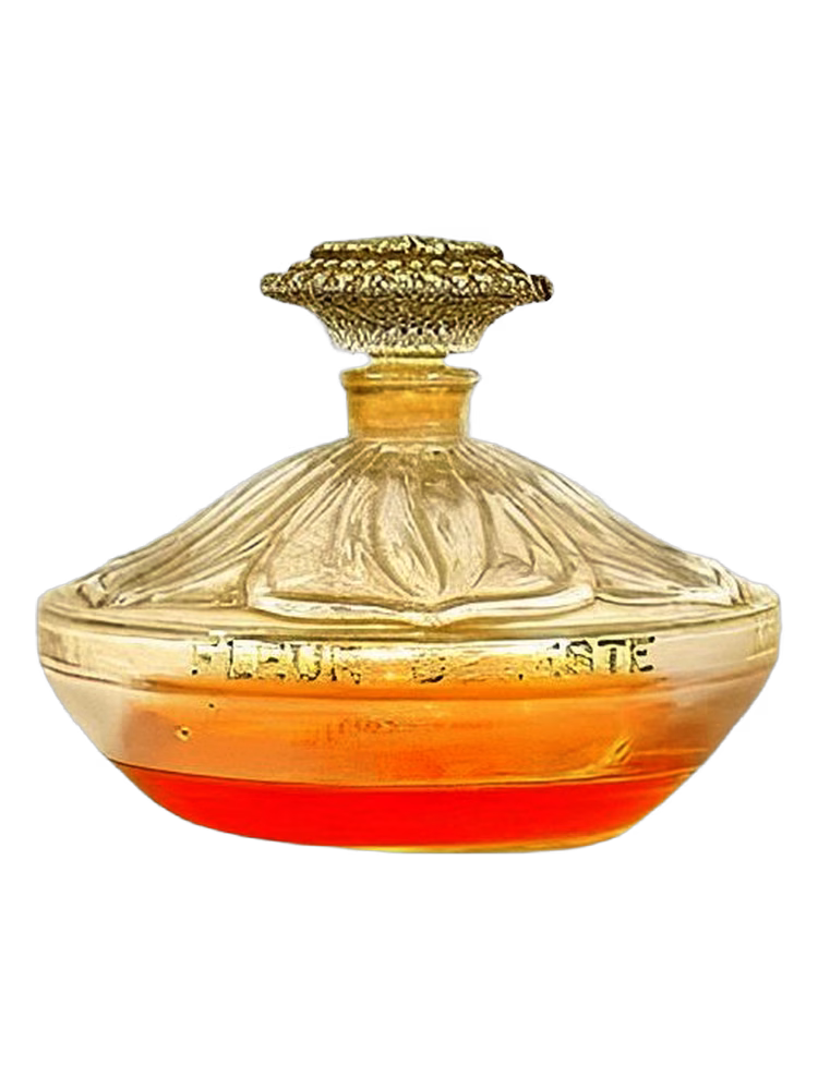 Vigny Fleur Celeste