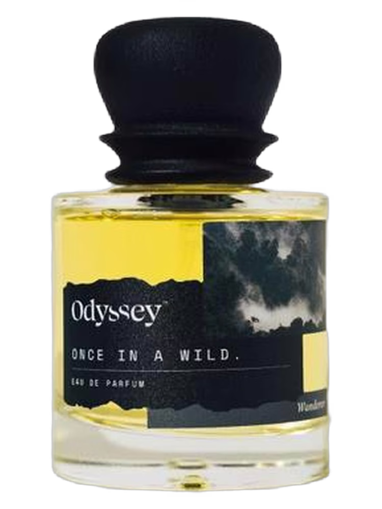 Odyssey Once In A Wild
