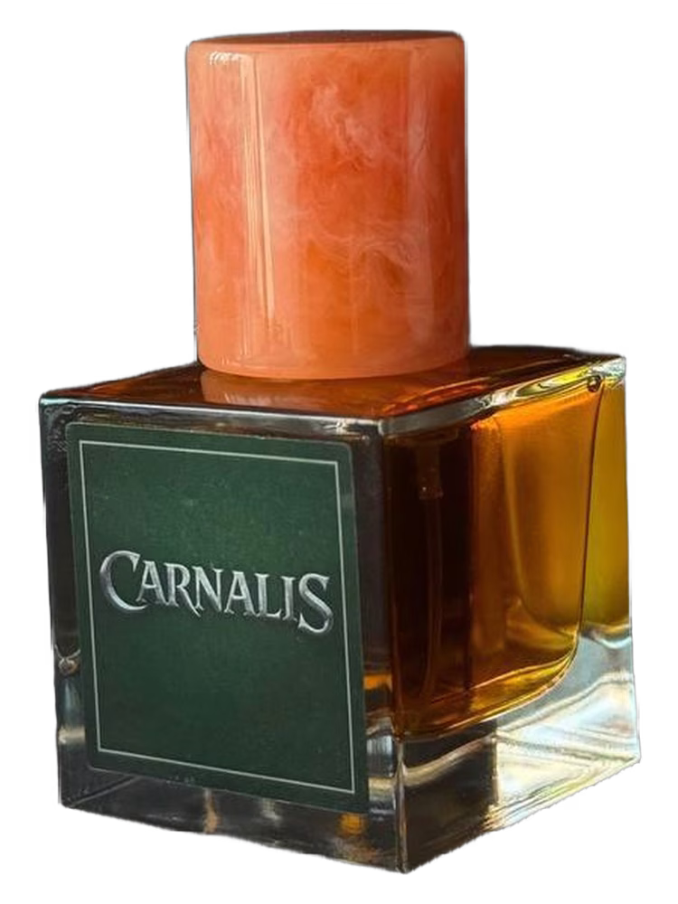 ATon Carnalis