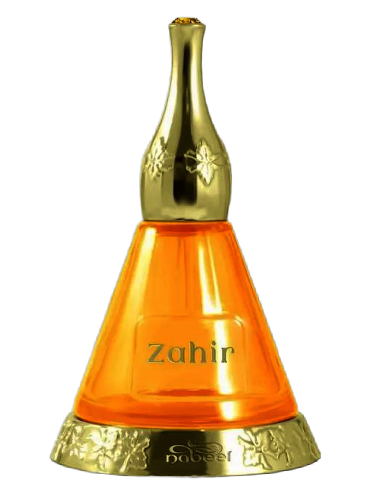 Nabeel Zahir