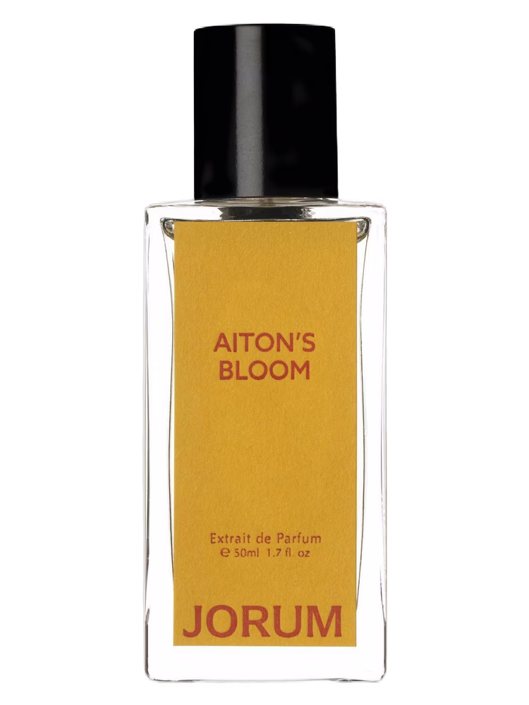 Jorum Studio Aiton's Bloom