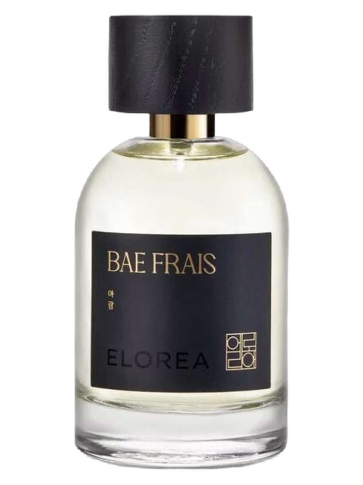 ELOREA | 향수 BAE FRAIS (아람)