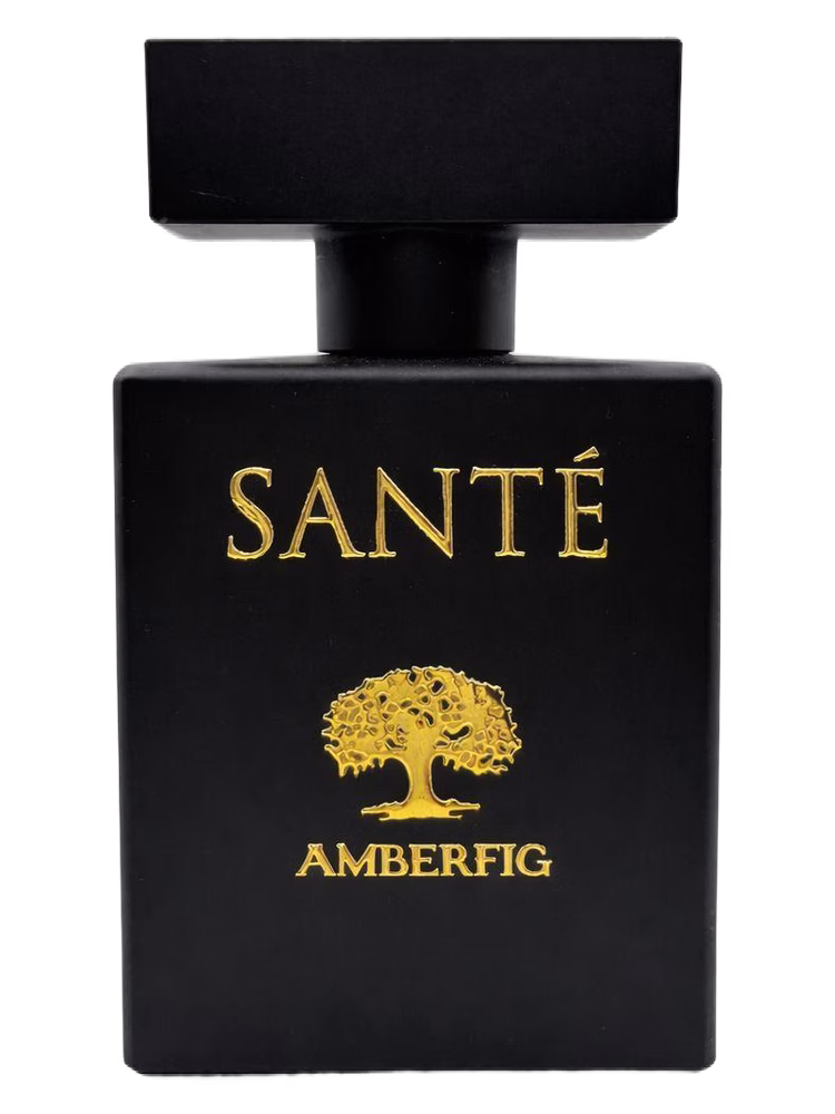 Amberfig Santé