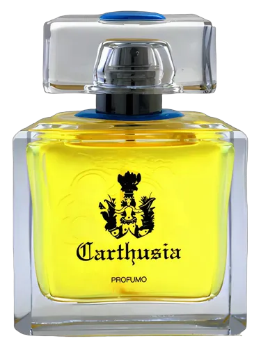 Aria di Capri Profumo Carthusia perfume - a fragrance for women 2003