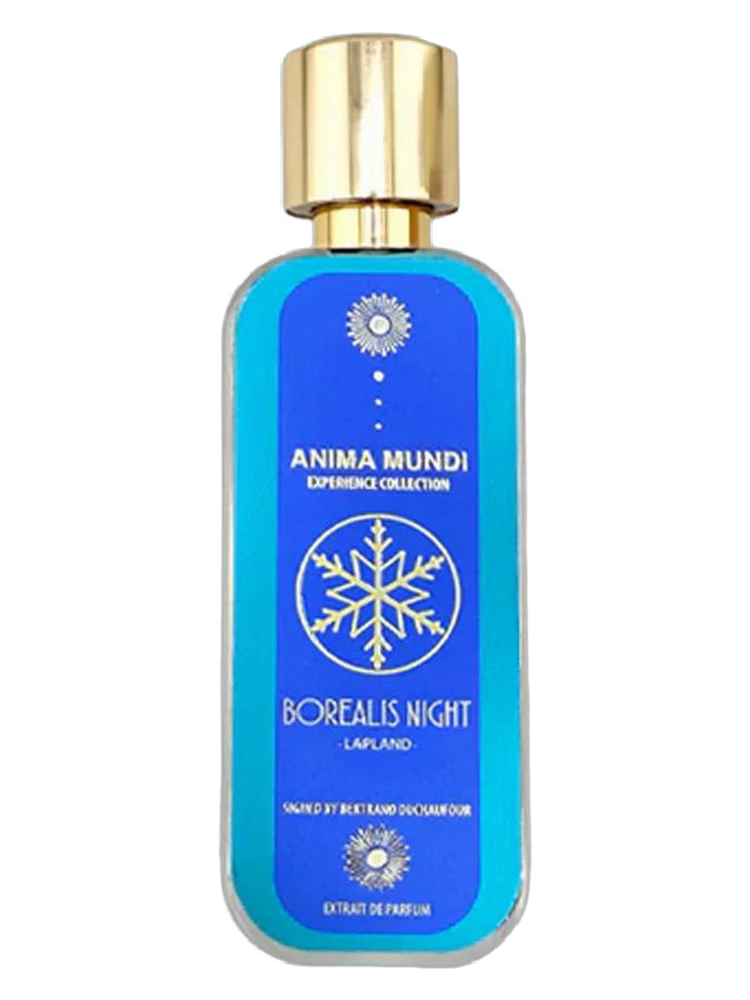 Anima Mundi Borealis Night