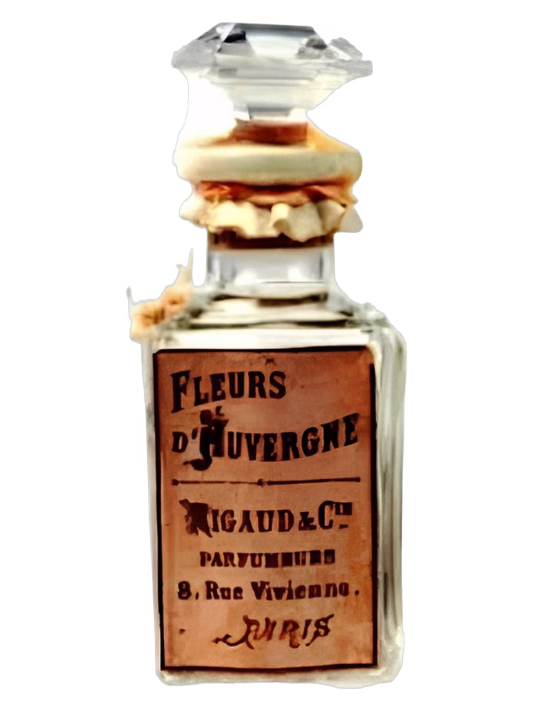 Rigaud Fleurs d'Auvergne