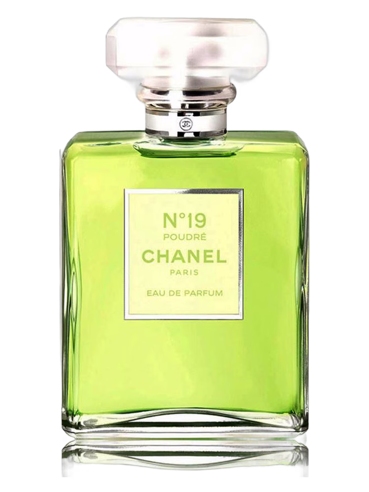 Chanel Chanel No 19 Poudre
