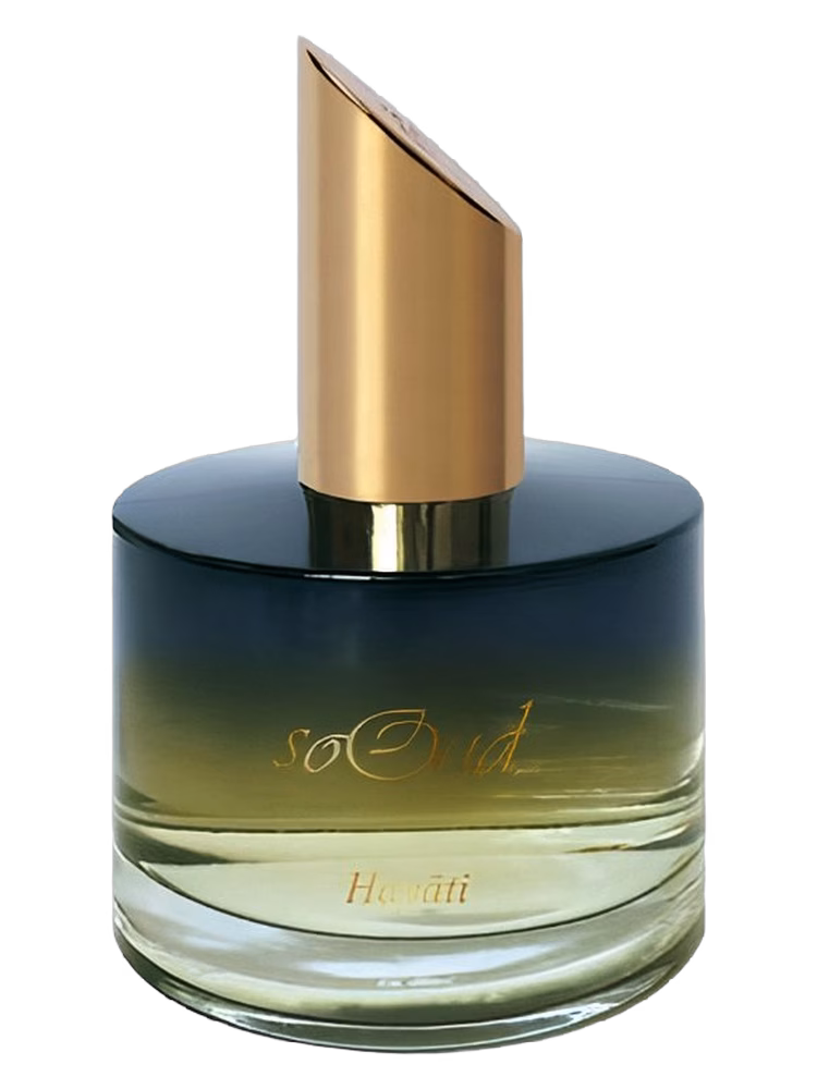 SoOud Hayati