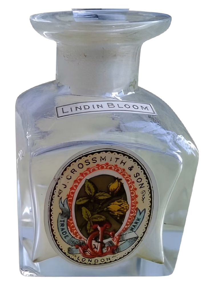 Grossmith Lindin Bloom