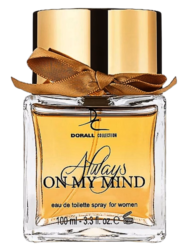 Dorall Collection Always On My Mind