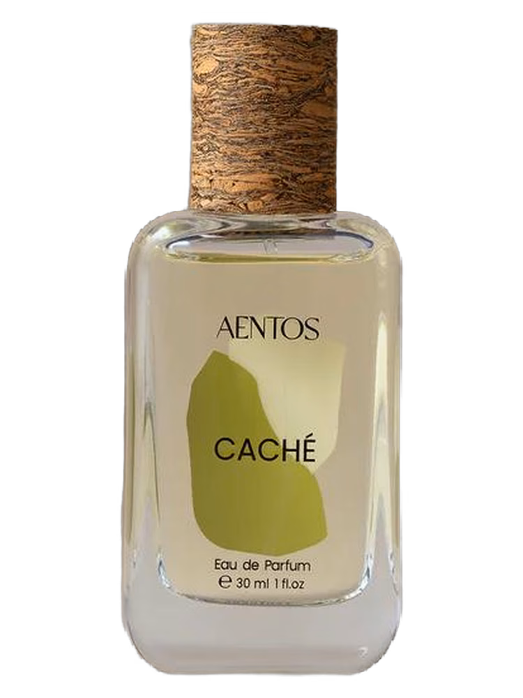 AENTOS Caché 枝节光